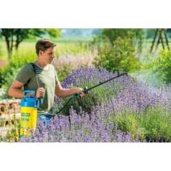 Spray a Pressione da Giardino Gloria Hobby Exclusiv Plastica 3 BAR 5 L