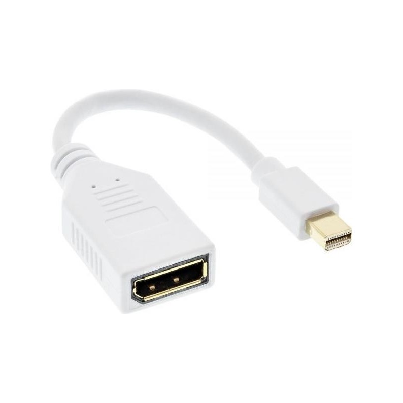 Connettore DisplayPort in linea Mini DisplayPort per Displayport Sock