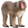 SCHLEICH Wild Life Japanese Macaque Toy Figure 3 to 8 Years Brown