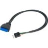 Akasa USB 30 to USB 20 Adapter Cable USB 30 19-pin male to USB 20