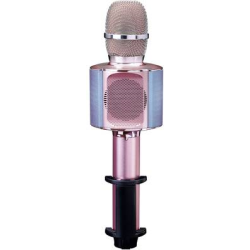 New--BT Mic. And speaker with lights rosegold