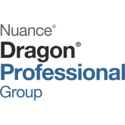 Dragon Professional Group