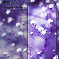 KAPSOLO Displayschutzglas 3D schutzglas f&Atilde;&frac14;r Apple iPhone X