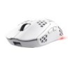 Trust GXT 929 Helox mouse Giocare Mano destra RF Wireless Ottico 4800