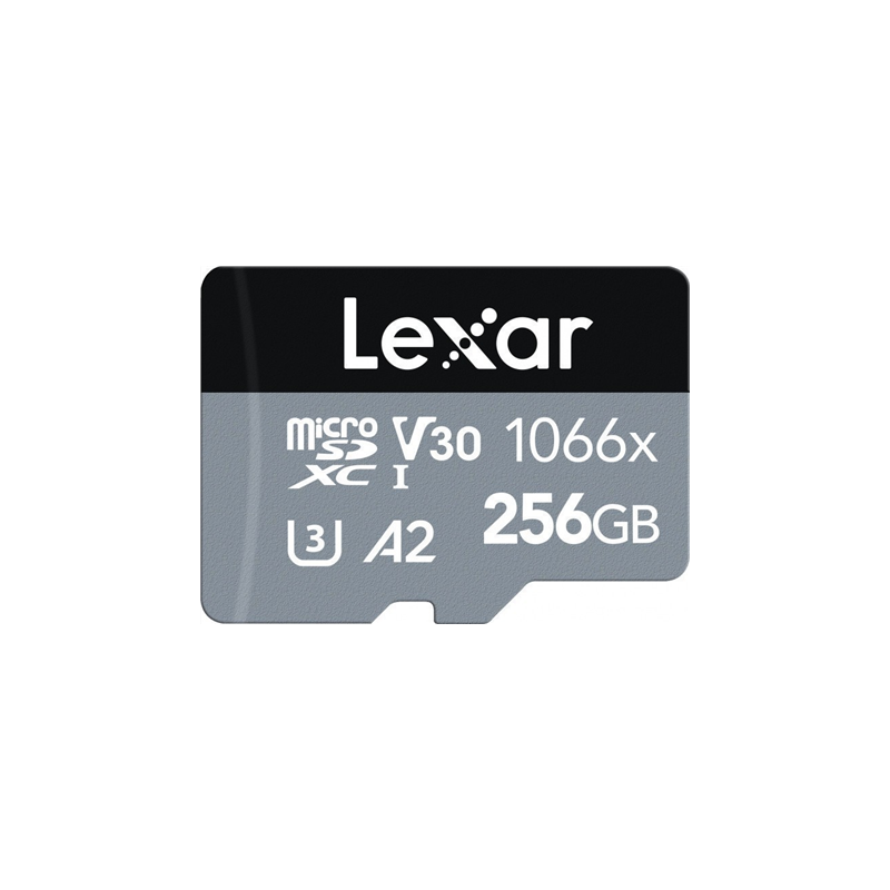 Lexar Professional 1066x 256 GB MicroSDXC UHS-I Classe 10 256GB Lexa