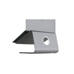 mStand Laptop Stand Sp Gray