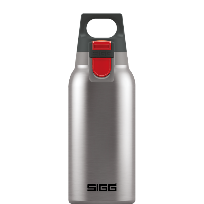 Sigg SG8581.70 H&amp;C ONE Brushed 0,3L