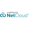 NetCloud Enterprise Branch, licenza, 1 anno