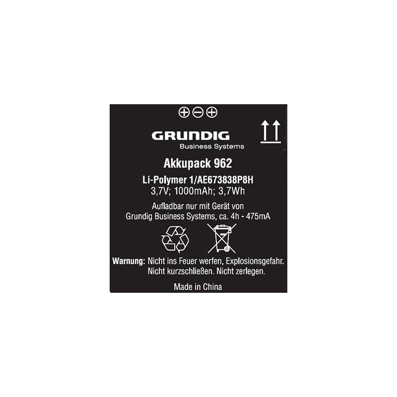 Grundig Li-Ion 1000 mAh Batteria