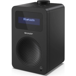 Sharp DR-430 Personale Digitale Nero (DAB radio - DR-430 Black)