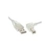 Cavo USB 2.0 - da A a B ad angolo retto - trasparente - 3 m