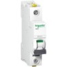 Schneider Electric A9F08116 interruttore automatico 1