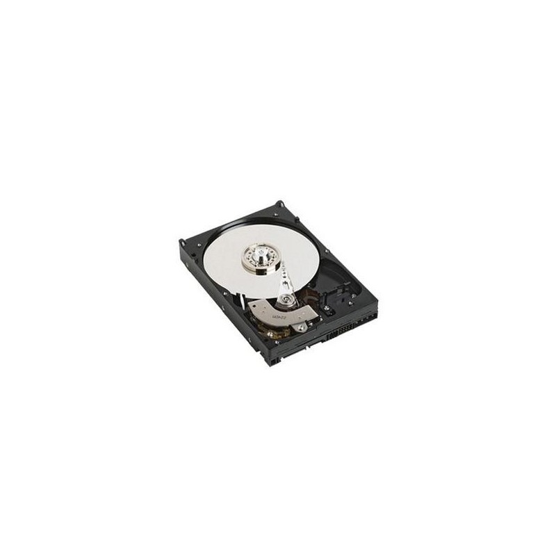 DELL GPP3G-RFB disco rigido interno 3.5&quot; 1 TB NL-SAS