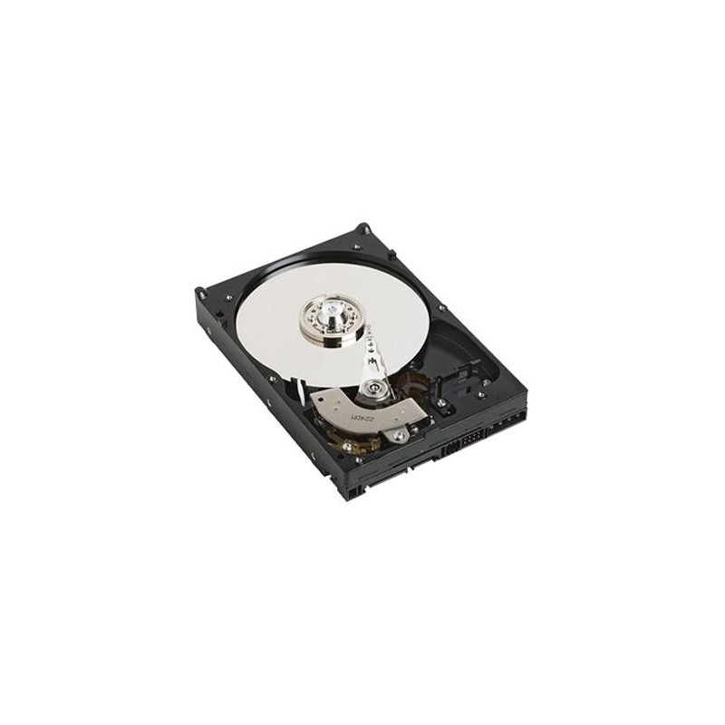 DELL 1TB SATA 7200rpm 3.5&quot; Seriale ATA II