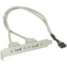 Staffa slot USB InLine - interna/esterna - 2xUSB Tipo A (W) - 1xPF10 