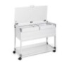 Carrello per cartelle sospese DURABLE SYSTEM 100 MULTI TOP 1 ST 378710