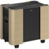 Cabinet portatile A/V ELPCS01