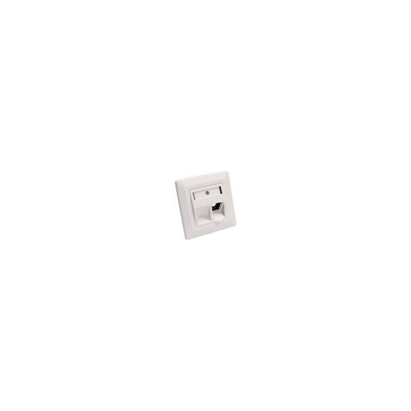 InLine - uscita - RJ-45 X 2 - bianco, RAL 9010 (76201R)