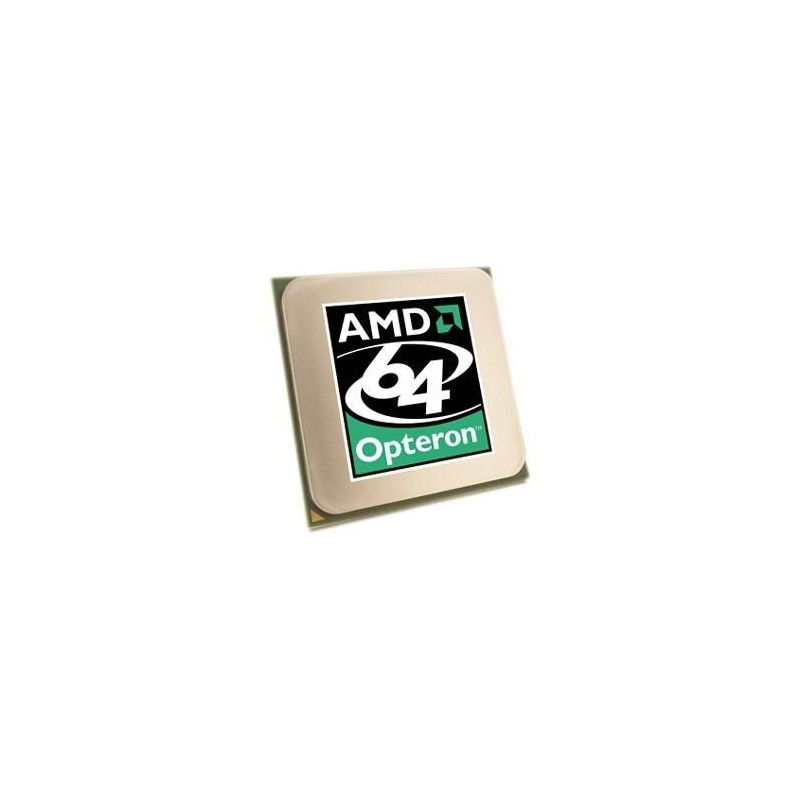 AMD Opteron 2,4Ghz modello 2216