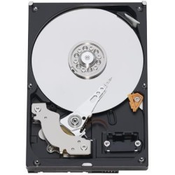 WD REII 160GB