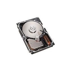 SCSI HS U320 10K da 300 GB