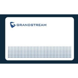 Carta RFID Grandstream GDS TFE 1 pezzo