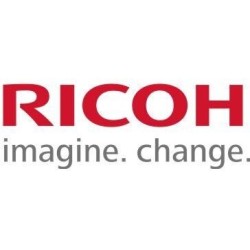 Batteria Ricoh Sort D0A42031