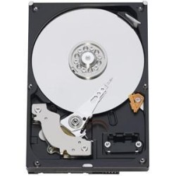 WD Caviale Blu 320 GB