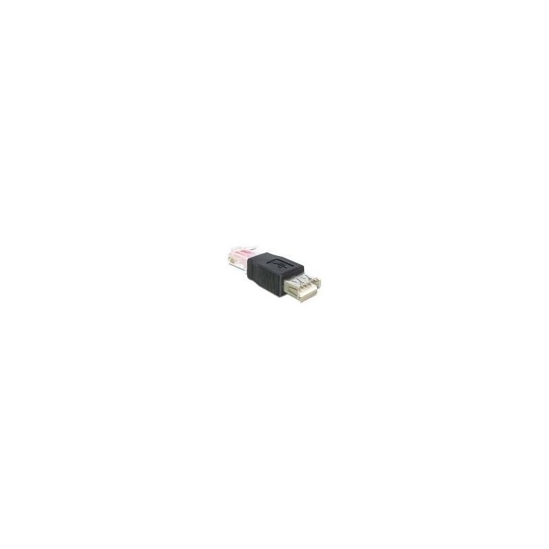 Presa USB dell&#039;adattatore Delock spina RJ45