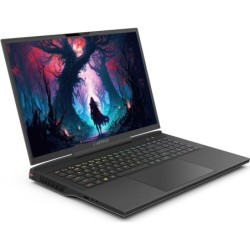 Captiva Gioco di fascia alta I81-504 173&quot; WQXGA i9-14900HX 64 GB/1 TB