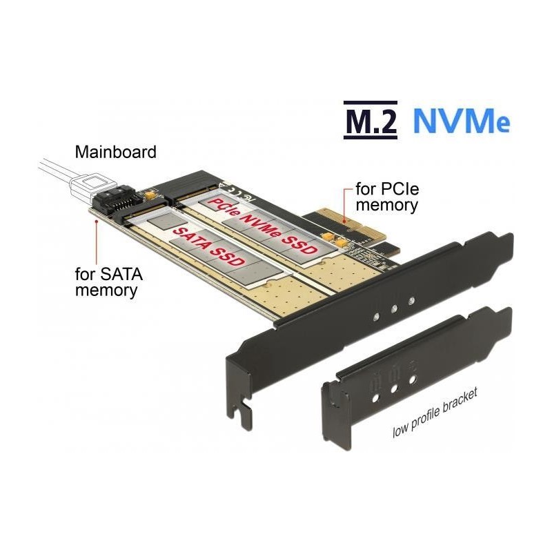 Delock PCIe x4 1 x M.2 Key B 1 x M.2 Key M Fattore di forma a basso p