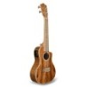 ACST-CEC UKULELE CONCERTO CON TOP IN ACACIA E PREAMP