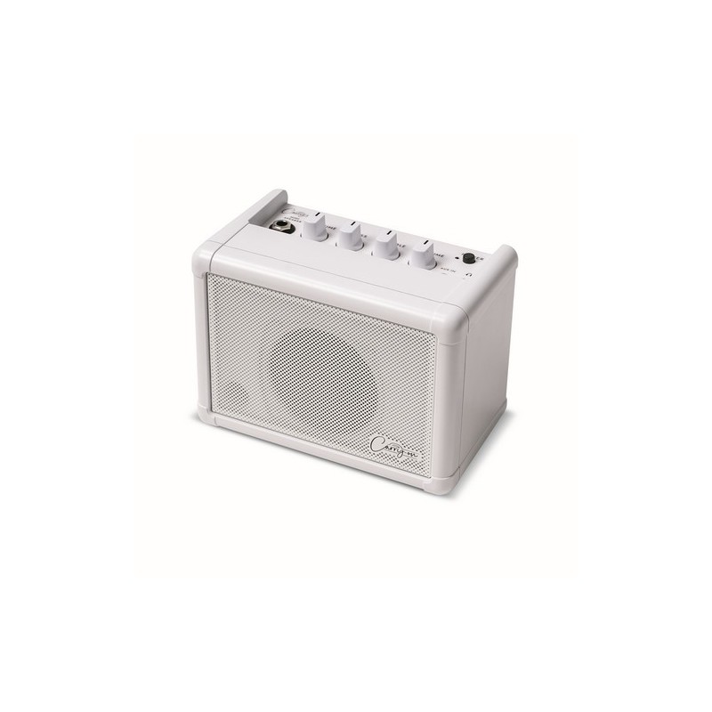 CO-SPEAKER - MINI SPEAKER