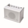 CO-SPEAKER - MINI SPEAKER