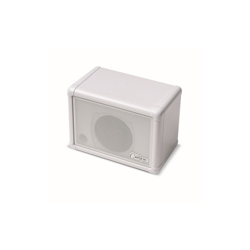 CO-SPEAKER-EXT - MINI EXTENSION SPEAKER