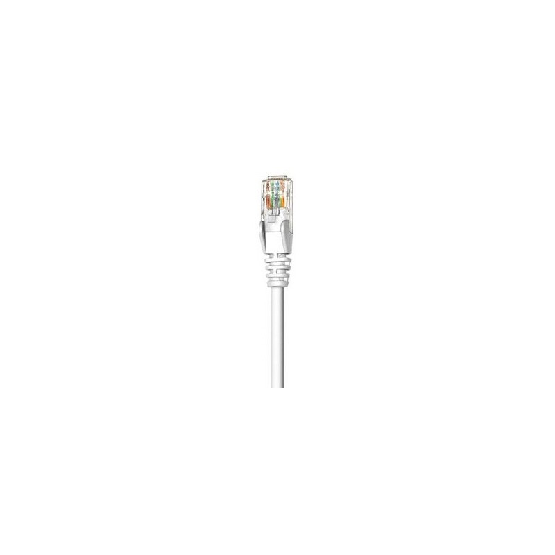 Intellinet 320696 cavo di rete Bianco 3 m Cat5e U/UTP (UTP)