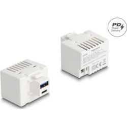 Delock 41478 - Modulo di ricarica Keystone USB Type-A C PD 20 W bianc