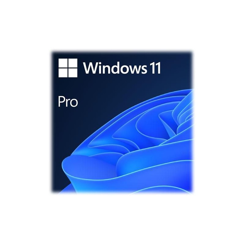 Windows 11 Pro OEM