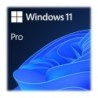 Windows 11 Pro OEM