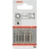 Bosch 2 607 001 611 - Torx - T20 - 254 / 4 mm (1 / 1020 cm (4&quot;)) - Es