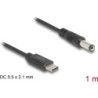 Delock Cavo di alimentazione USB Type-C a spina DC 55 x 21 mm 1 m