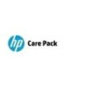 Supporto hardware Hewlett-Packard elettronico HP Care Pack giorno lav