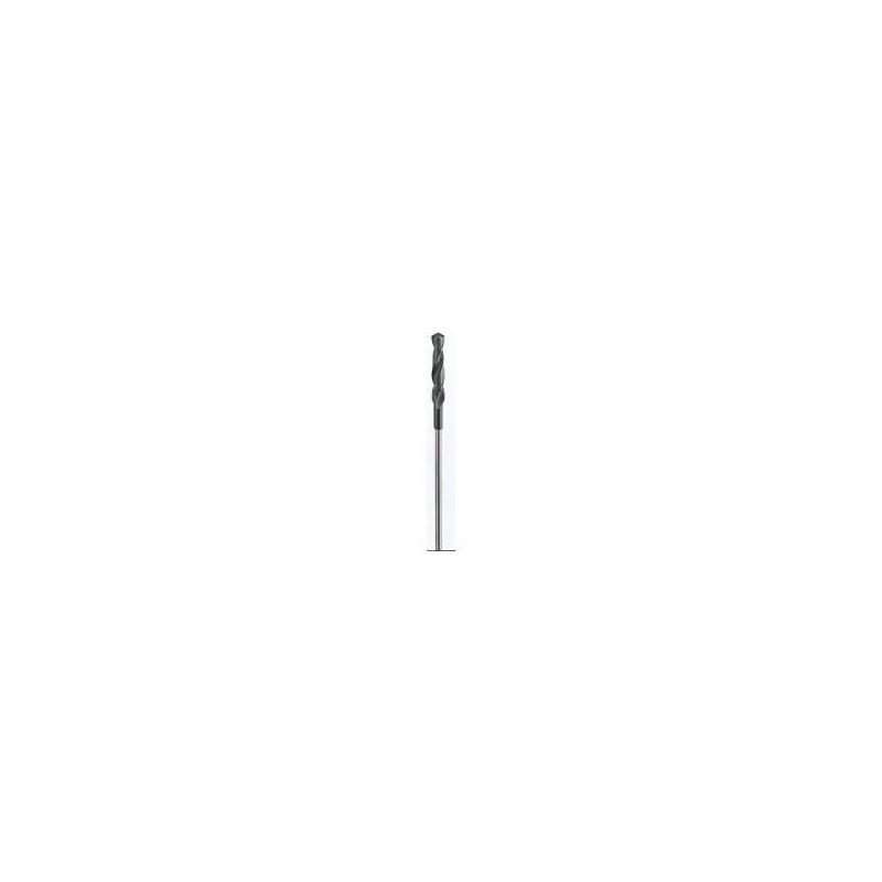 Punta per casseforme Bosch 6 mm lunghezza totale 600 mm 2608597173 ga