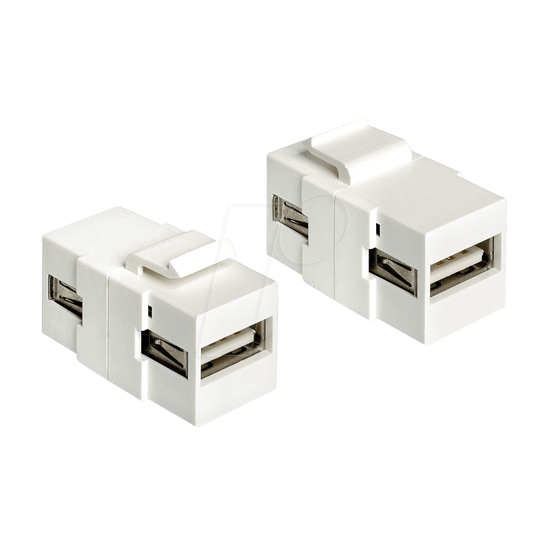 Delock Modulo Keystone USB 2.0 A femmina USB 2.0 A femmina bianco