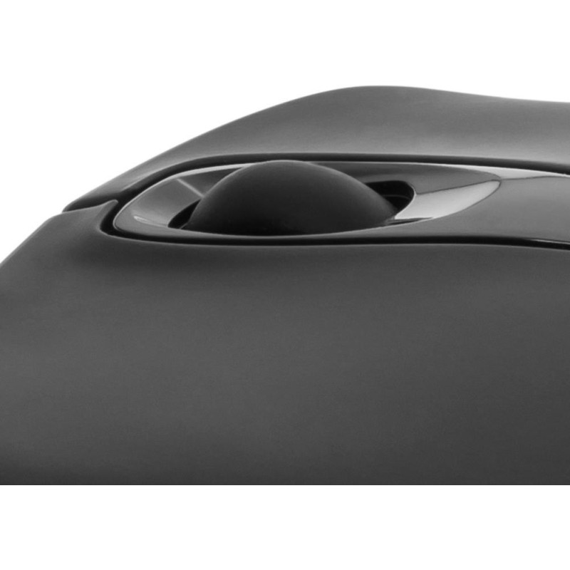 PEDEA Trend - mouse - ottico - wireless - 24 GHz - ricevitore wireles