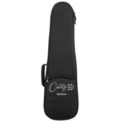 CARRY-ON-BASS-GB