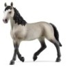 schleich HORSE CLUB 13955 action figure giocattolo