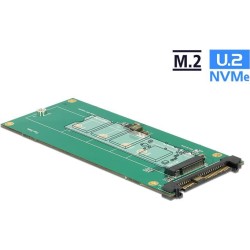 Delock Convertitore U.2 SFF-8639 NVMe 1 x chiave M.2 M