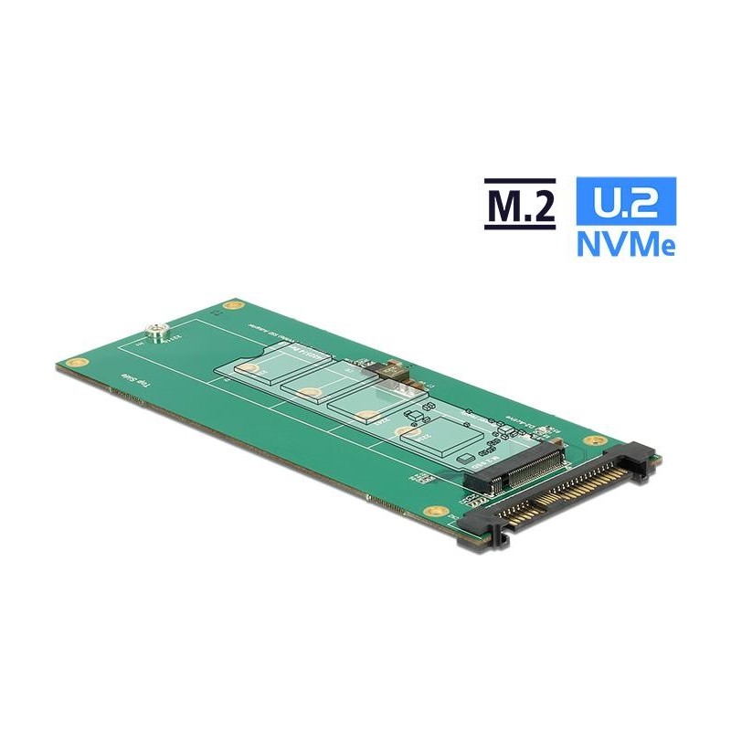 Delock Convertitore U.2 SFF-8639 NVMe 1 x chiave M.2 M