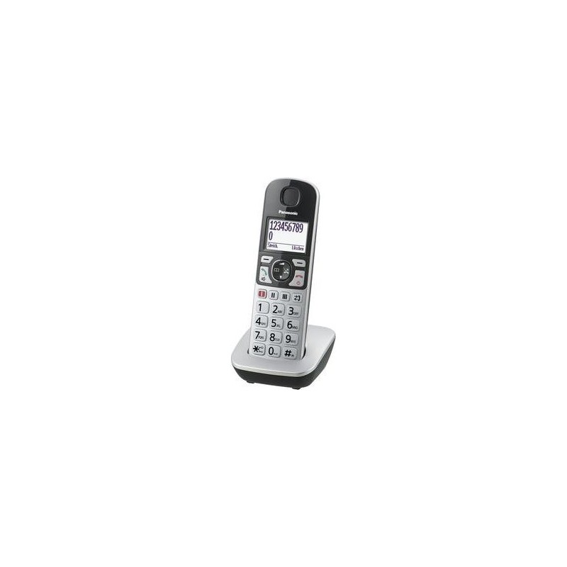 Telefono cordless Panasonic a tasti grandi KX-TGE510GS - argento